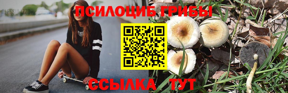 Галлюциногенные грибы прущие грибы  Вход с VPN  Галлюциногенные грибы Psilocybine cubensis  Краснодар 